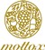 mottox logo